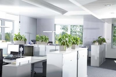 new white office space with cabinets and plants everywhere